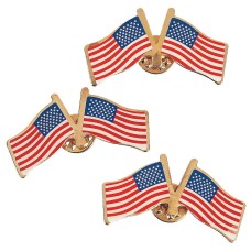 Metal Double USA Flag Pins