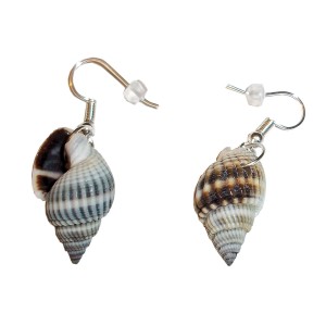 RTD-3998 : Pair of Spiral Shell Earrings at Heavens Charms