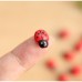 RTD-361925 : 25pc Mini Wooden Ladybug Charms - 11mm Tiny Self-Adhesive Ladybugs for DIY Crafts, Scrapbooking & Card Making at Heaven's Charms RTD-361925 : 25pc Mini Wooden Ladybug Charms - 11mm Tiny Self-Adhesive Ladybugs for DIY Crafts, Scrapbooking & Card Making at Heaven's Charms