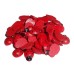 RTD-366350 : 50pc Mini Wooden Ladybugs - 1/2" Red & Black Painted Ladybug Charms for DIY Crafts, Scrapbooking & Fairy Gardens at Heaven's Charms RTD-366350 : 50pc Mini Wooden Ladybugs - 1/2" Red & Black Painted Ladybug Charms for DIY Crafts, Scrapbooking & Fairy Gardens at Heaven's Charms